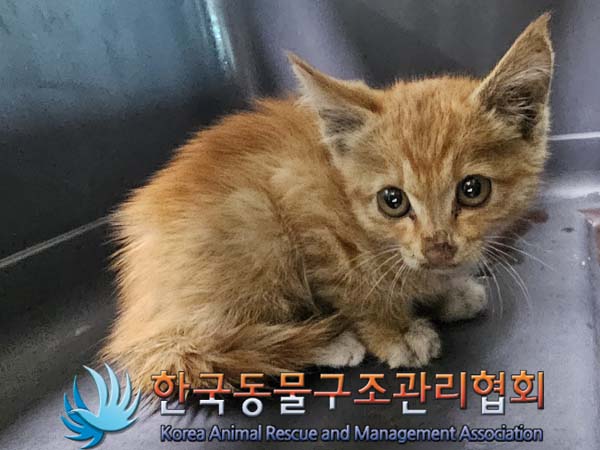 종료(자연사) 한국…
